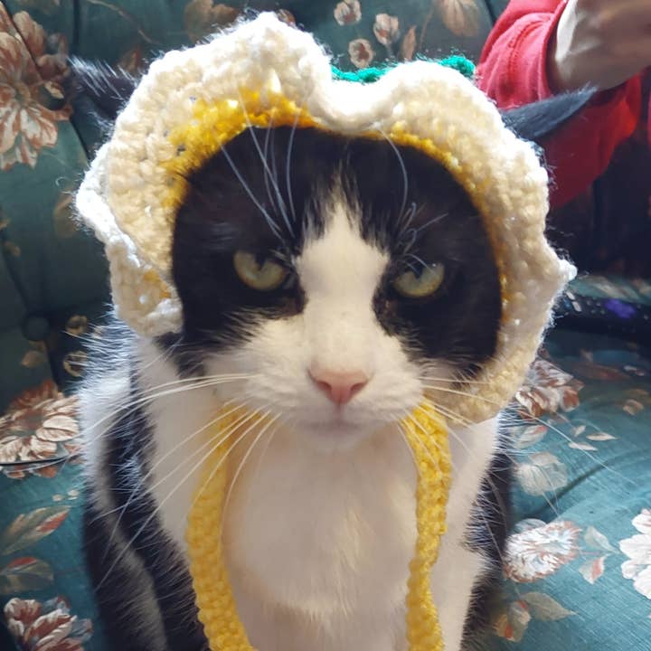 Glitter Ghost Clothing and Accessories - Wholesale Pet Hat - Dog - Crochet Lemon Hat - Cat Bonnet - Pet Hat