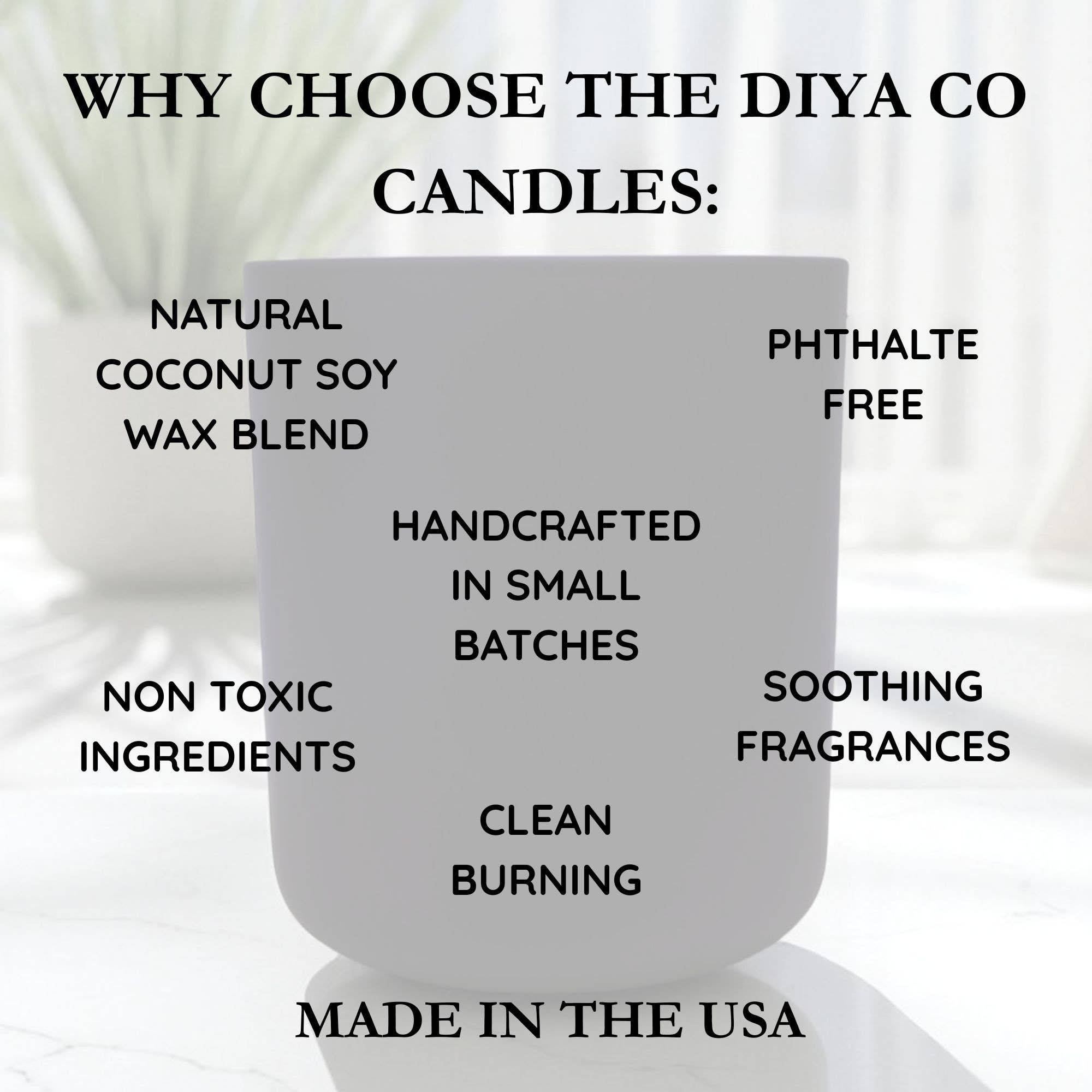 The Diya Co - Wholesale Jar/Filled Candle - 12 oz White Label Collection| Coconut-Soy Candles20