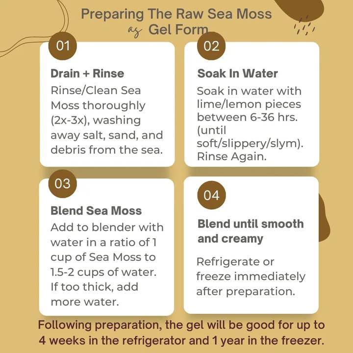 Herb To Body - Wholesale Herbs - Gold Sea Moss (Dry) -  Wildcrafted From Caribbean8