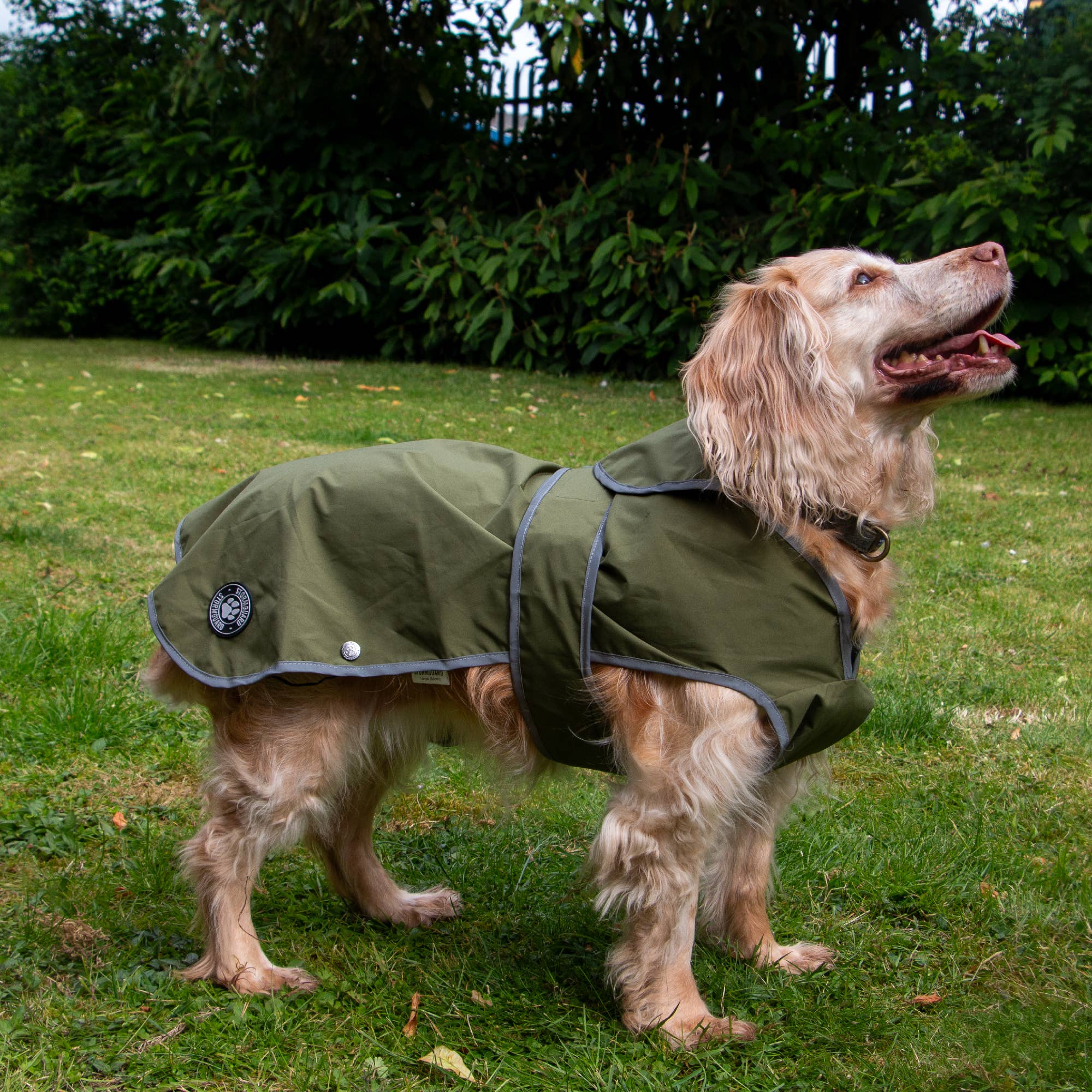 Ancol Pet Products Ltd – wholesale Pet coat – Dog – Stormguard Soft Shell  Dog Coat Khaki XS-XXL 1
