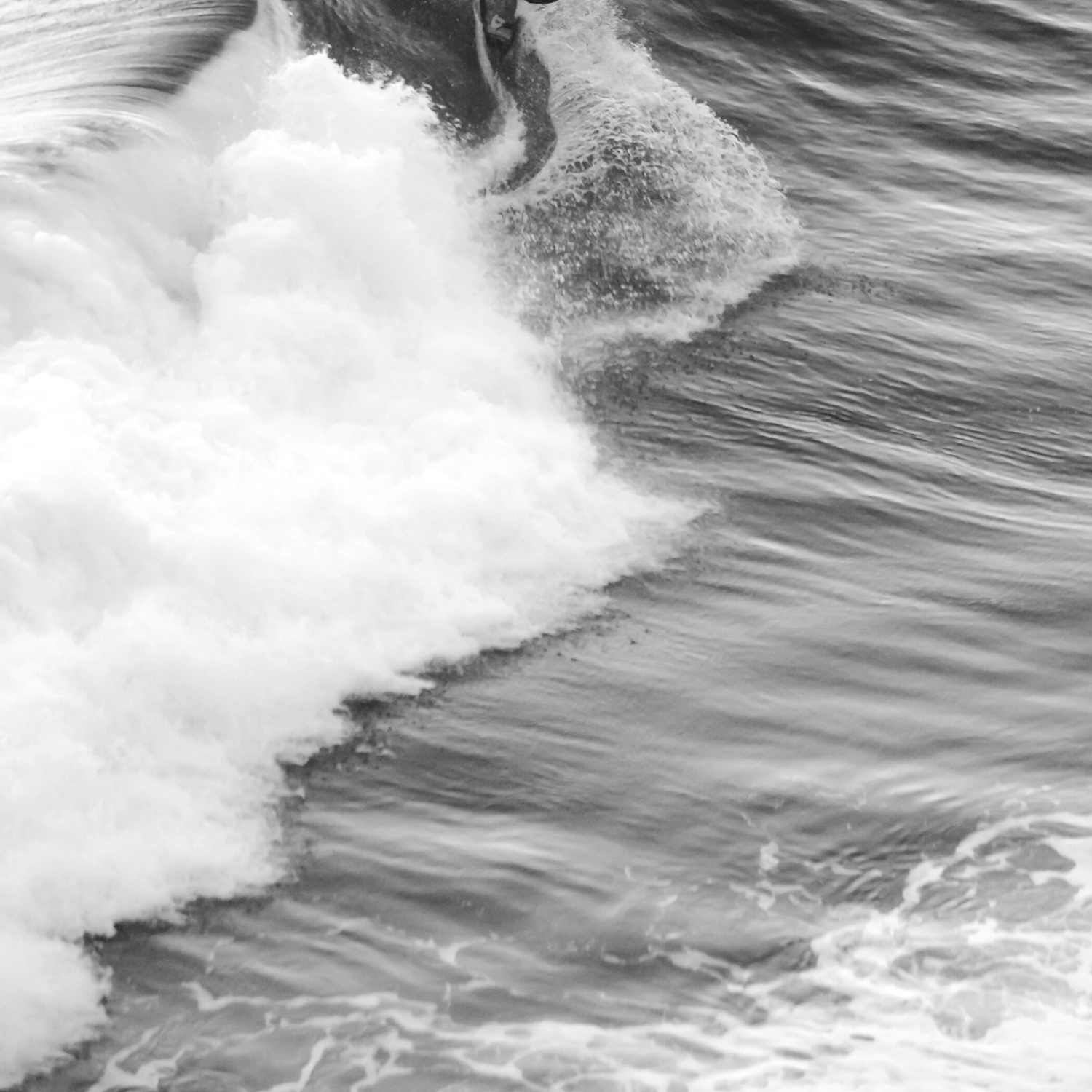 One Seed - Wholesale Perfume/Eau de Toilette - Tides Eau De Parfum 30ml2