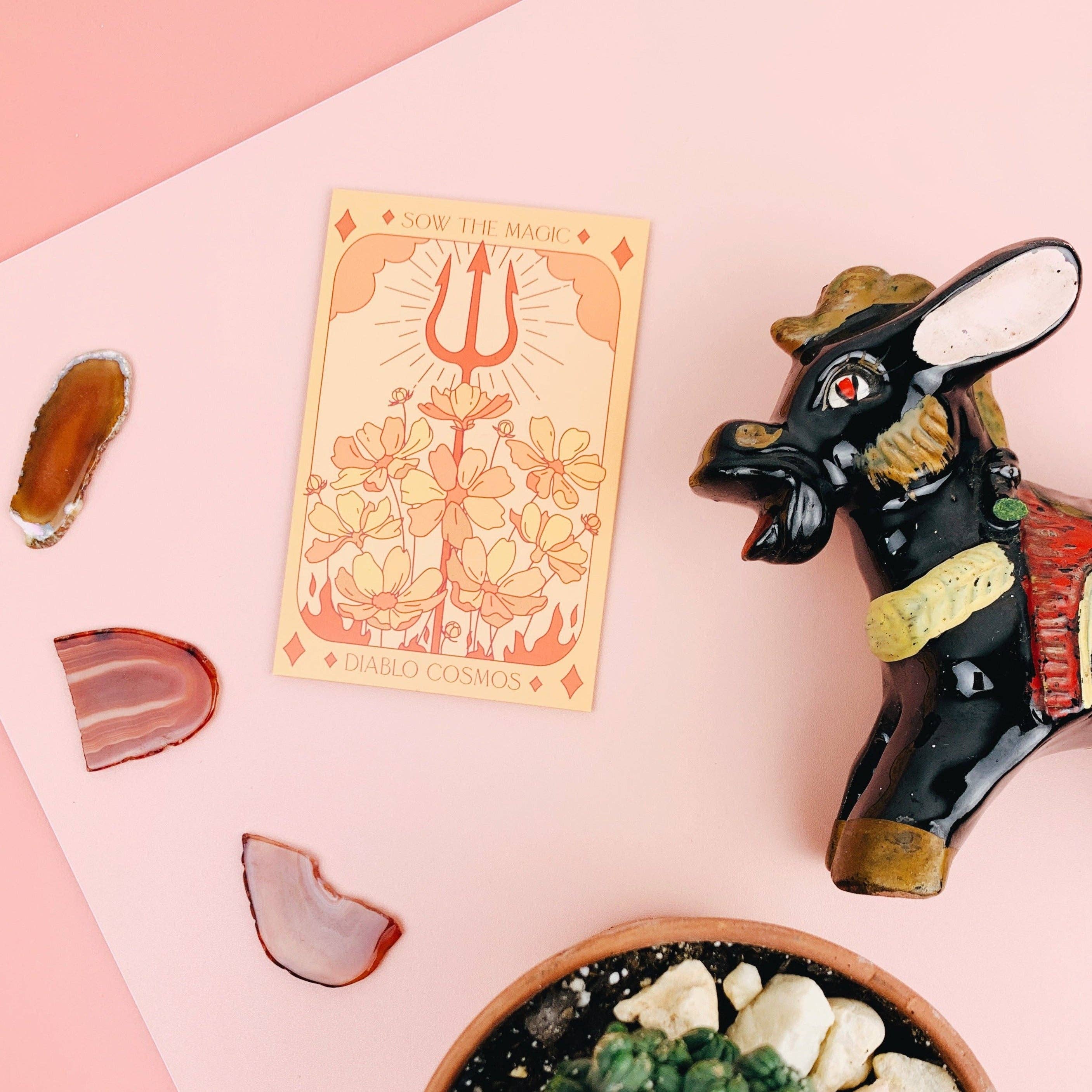 Sow the Magic - Wholesale Plant Seeds - Diablo Cosmos Tarot Seed Packet1