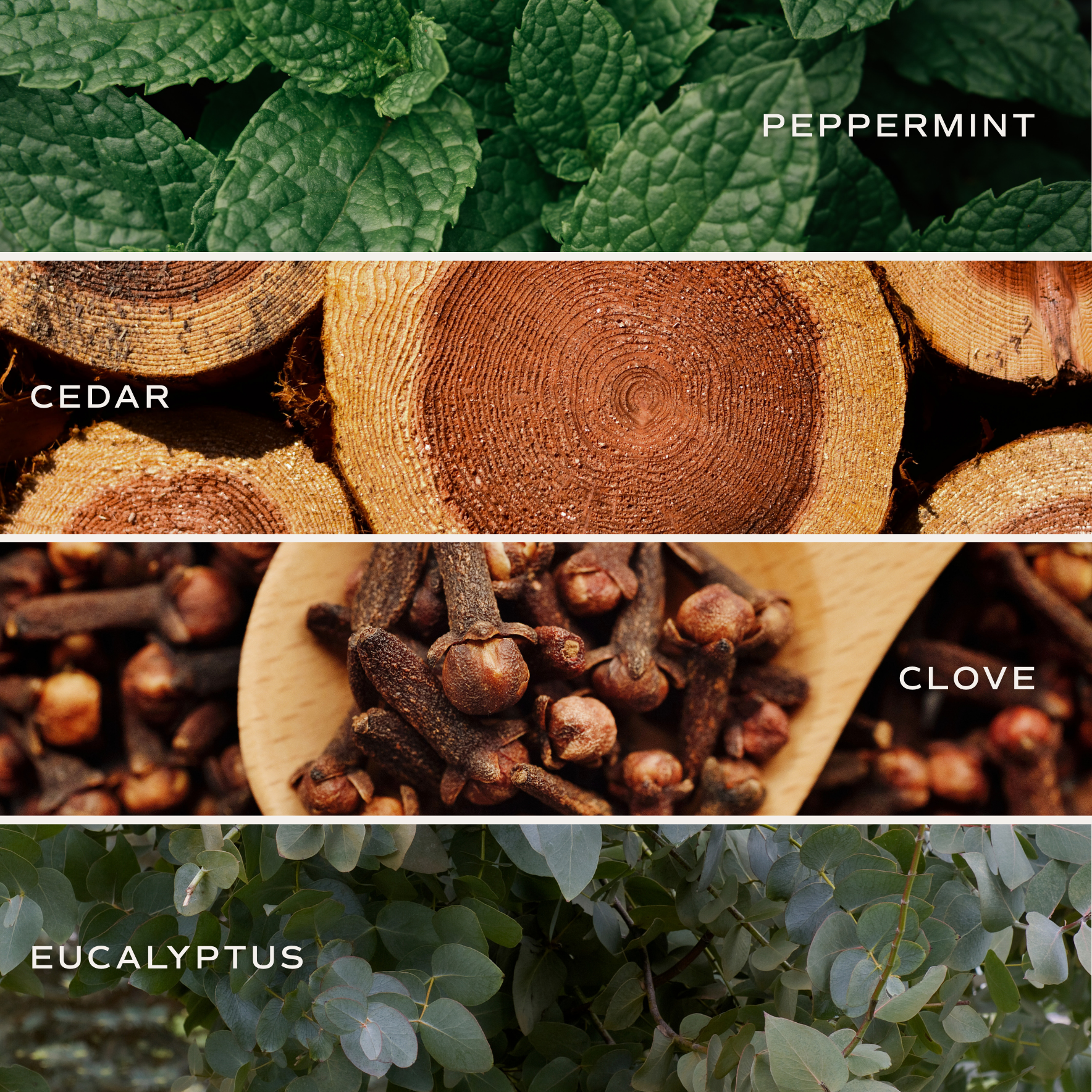 Sweet Water Decor - Wholesale Jar/Filled Candle - Relaxation 11 oz Soy Candle - Home Decor & Gifts3