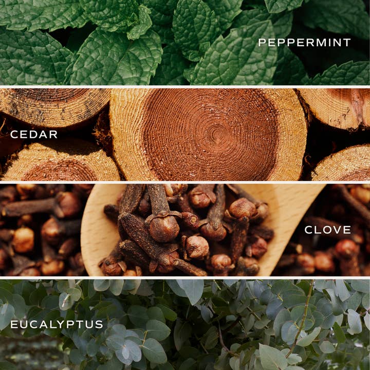 Sweet Water Decor - Wholesale Jar/Filled Candle - Relaxation 11 oz Soy Candle - Home Decor & Gifts3