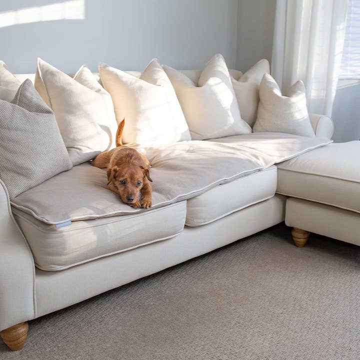 Sofaovertræk i Savanna Havregryn fra Lords & Labradors for engroshandel hos Lords and Labradors