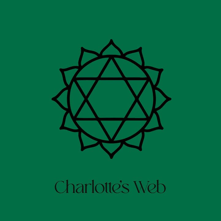 Charlotte's Web Jewellery - Vendita all'ingrosso Braccialetto con ciondolo/pendente - Bracciale Chakra del Cuore - Oro3