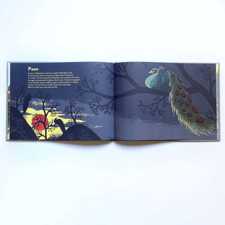 La Partie – wholesale Nature & Outdoors – How Animals Sleep / Documentary / Sleep / Nature3