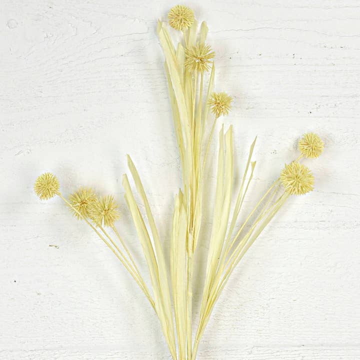 28922 - 28in Thistle Ball Spray-Cream- for wholesale by Impressive Enterprises, Inc.