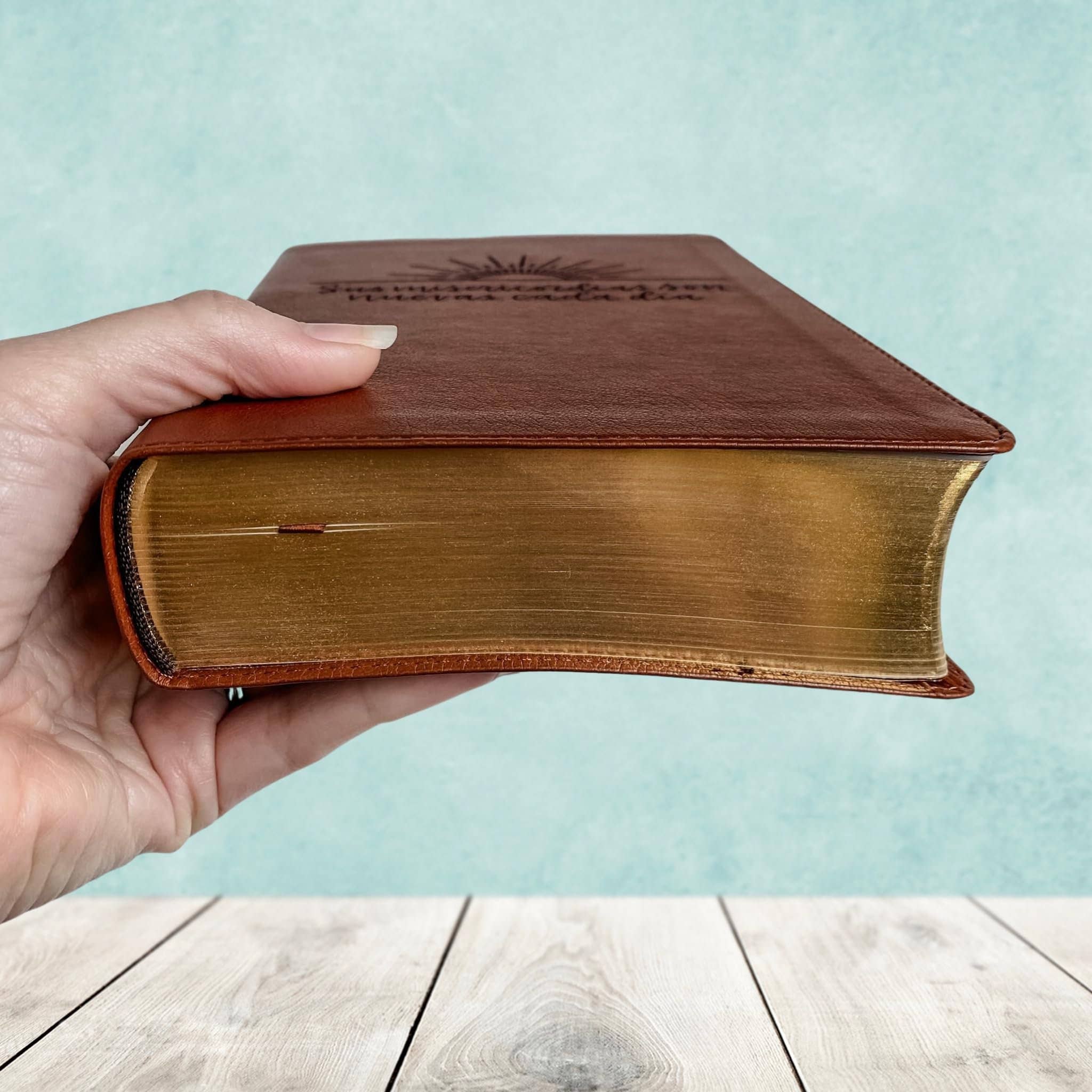 Joy Creative Bibles - Wholesale Religion - ESV/RVR (English/Spanish) Bible - Nue3