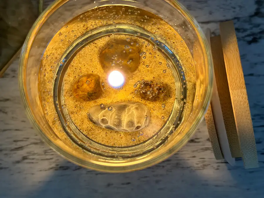 Devonian Coast - Wholesale Novelty Candle - Lake Michigan Petoskey Stone Gel Candle – Medium 6oz Wax5