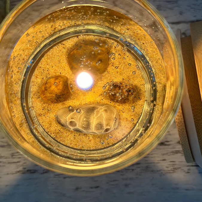 Devonian Coast - Wholesale Novelty Candle - Lake Michigan Petoskey Stone Gel Candle – Medium 6oz Wax5