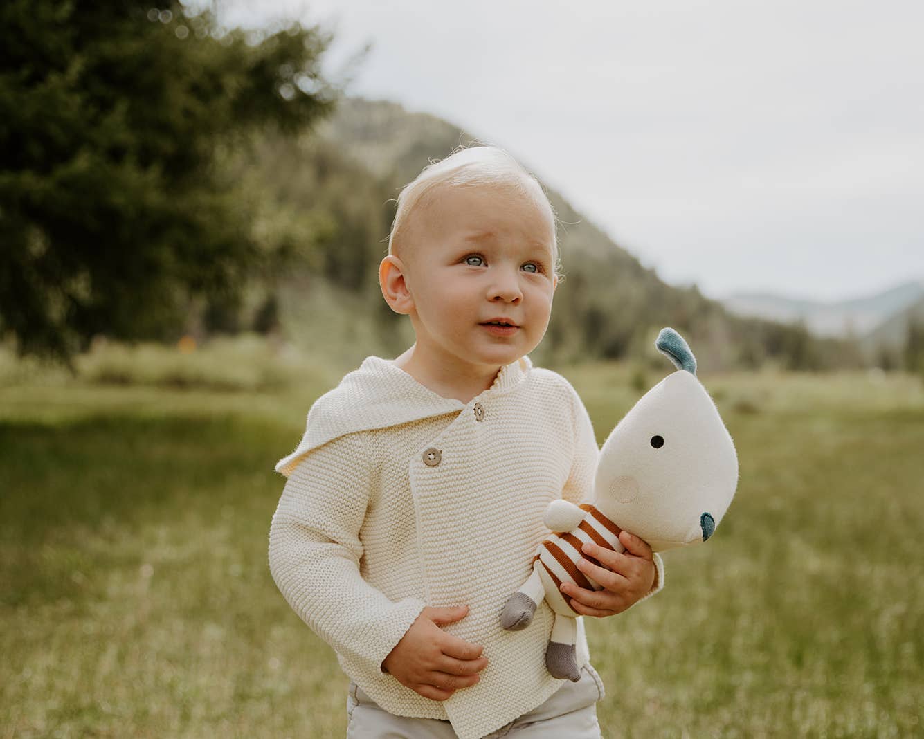 Viverano Organics - Wholesale Stuffed/Plush Toy - Kids & Baby - Phillipe Dog Organic Cotton Stuffed Animal Baby Kid Toy5