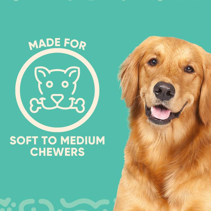 Yomp - Wholesale Pet Chew Toy - Dog - TugPup4