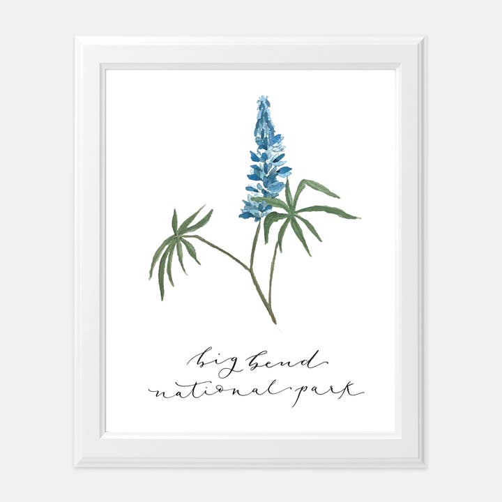 Big Bend Nationalpark Wildflower Kunsttryk for engroshandel hos Meadowlark & Company