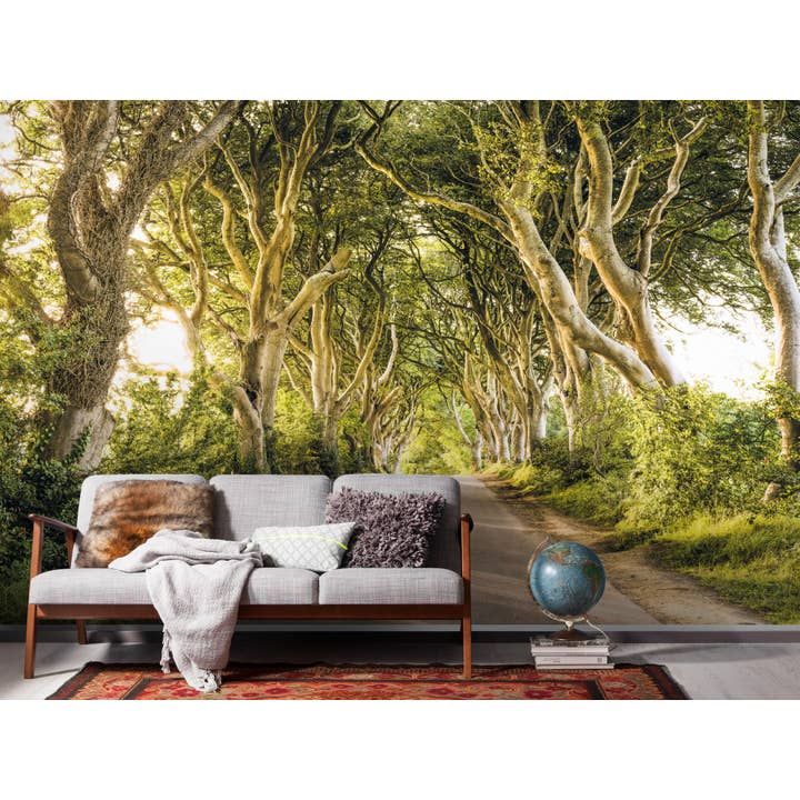 Papel pintado fotográfico de forro polar, setos dorados, tamaño 400 x 250 cm para venta al por mayor de Komar Products GmbH & Co. KG