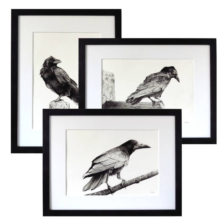 3 Original Crow Charcoal Pencil Drawings in Black Frames for wholesale by Drawing In Dark