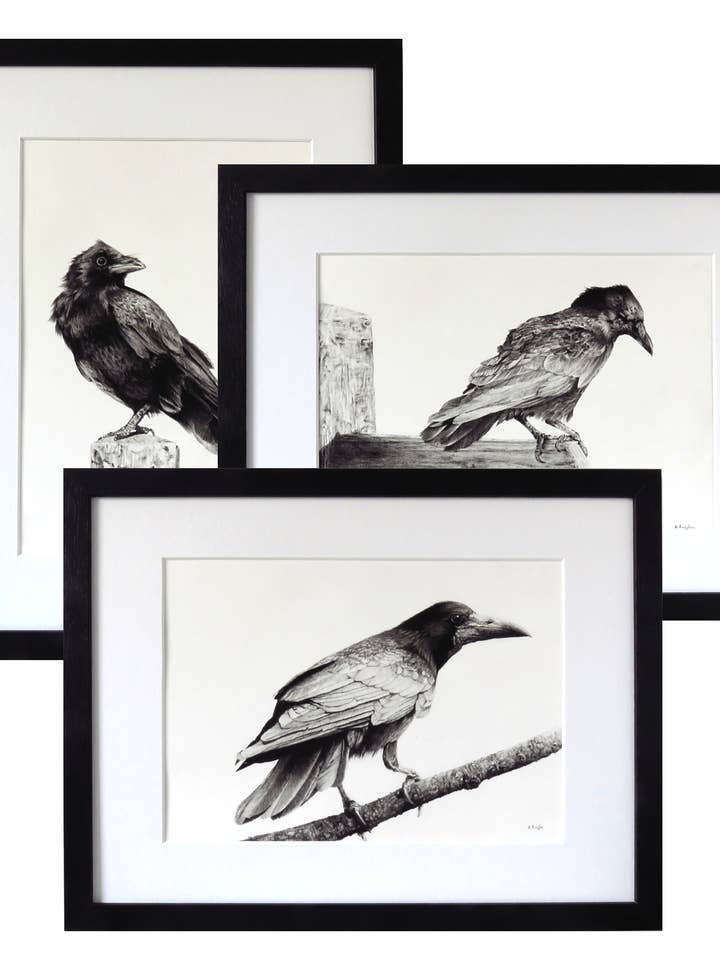 Crow Hand Drawn Charcoal Pencil Original Art in Black Frames for wholesale by Drawing In Dark