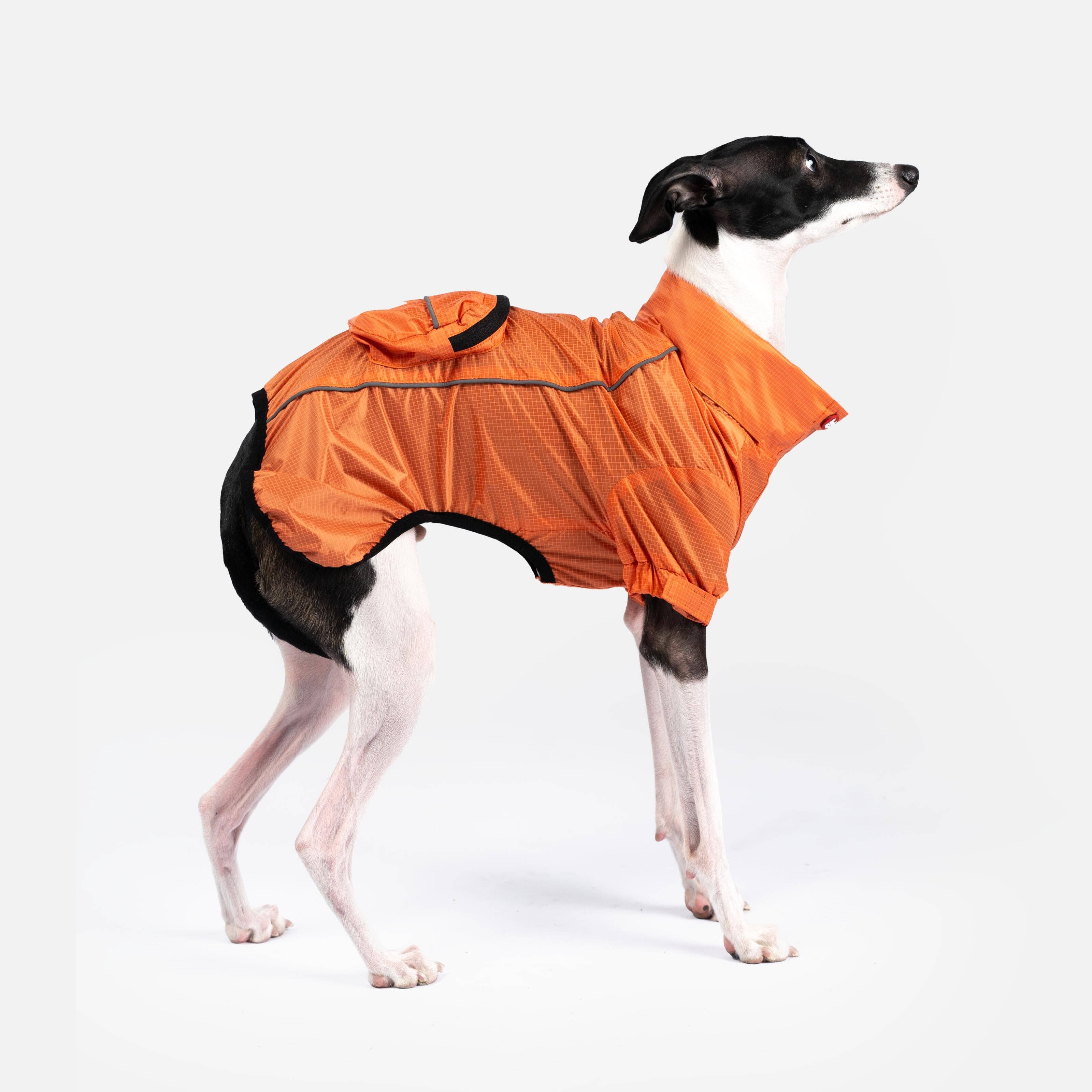 Silver Paw - Wholesale Pet Raincoat - Dog - EVA Packable Raincoat