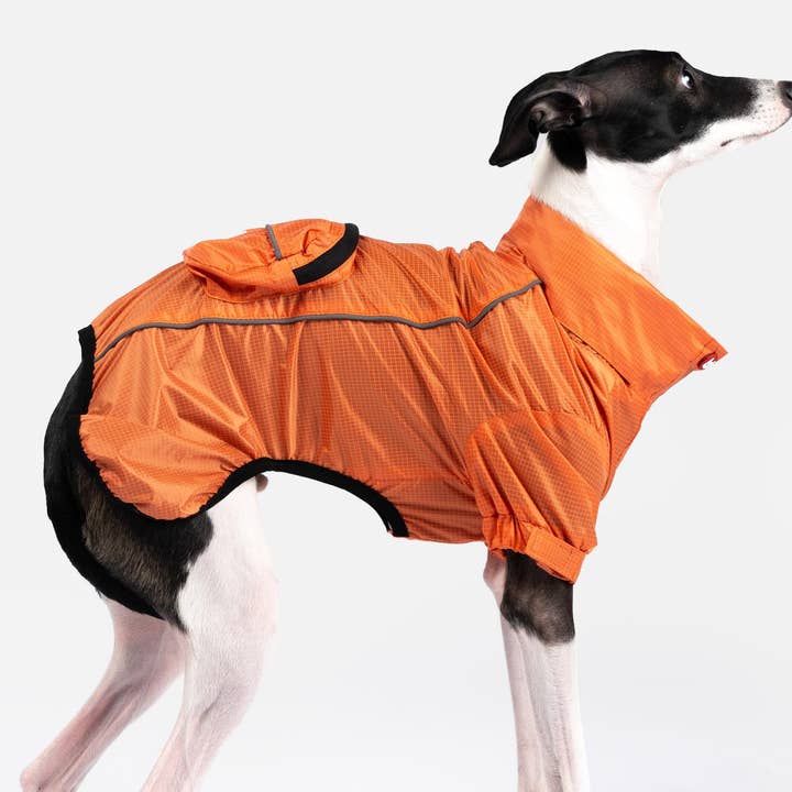 Silver Paw - Wholesale Pet Raincoat - Dog - EVA Packable Raincoat0