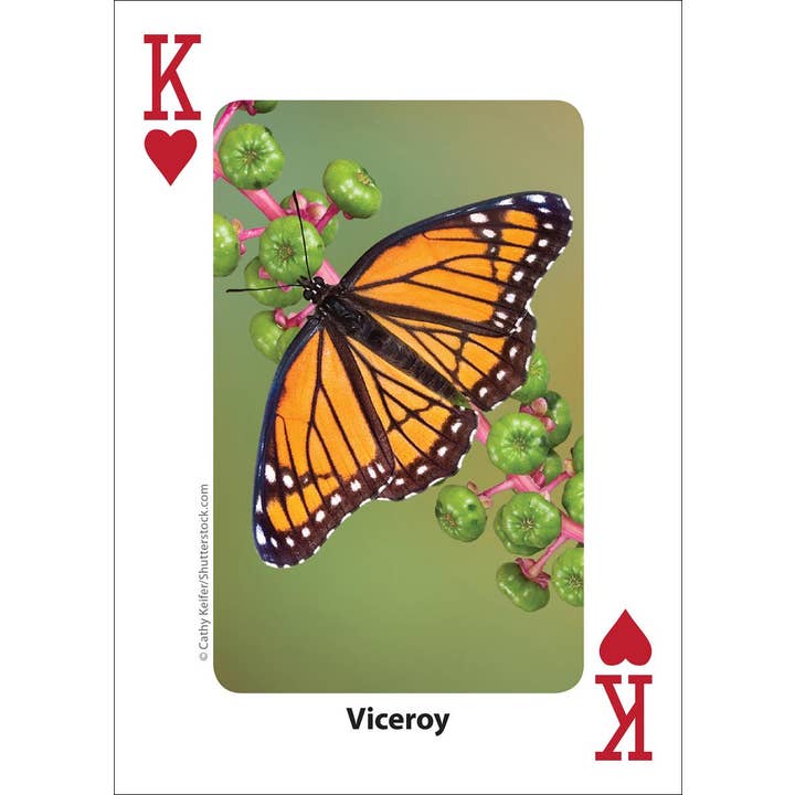 AdventureKEEN - Wholesale Playing Cards - Bees & Butterflies Playing Cards