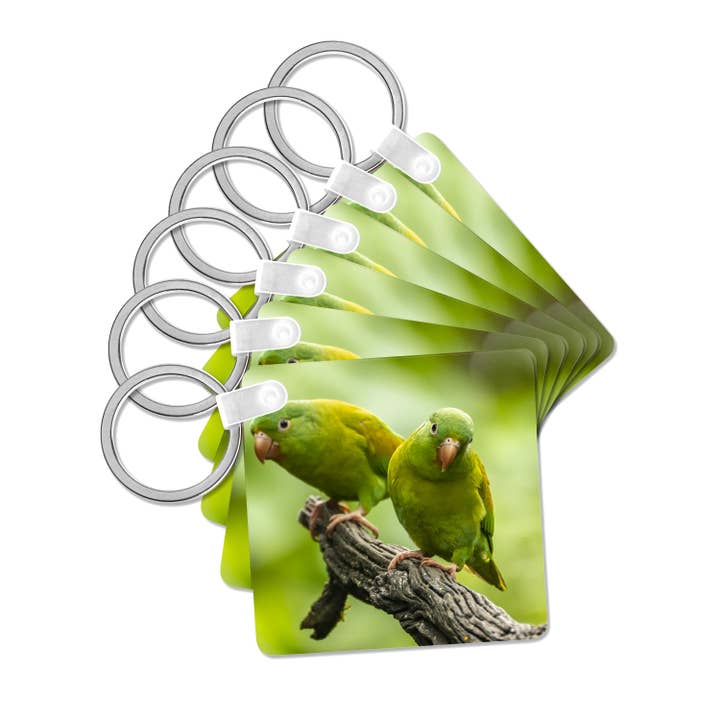 3dRose, Costa Rica. Orange-chinned parakeets close-up., Key Chain and other Purchase Wholesale ração para cães e gatos. Free Returns & Net 60 Terms on Faire trending on Faire.