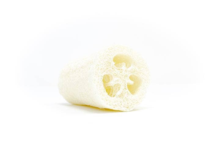 The Waste Less Shop - Wholesale Loofah - Natural Loofah Sponge – Exfoliating & Plastic-Free3