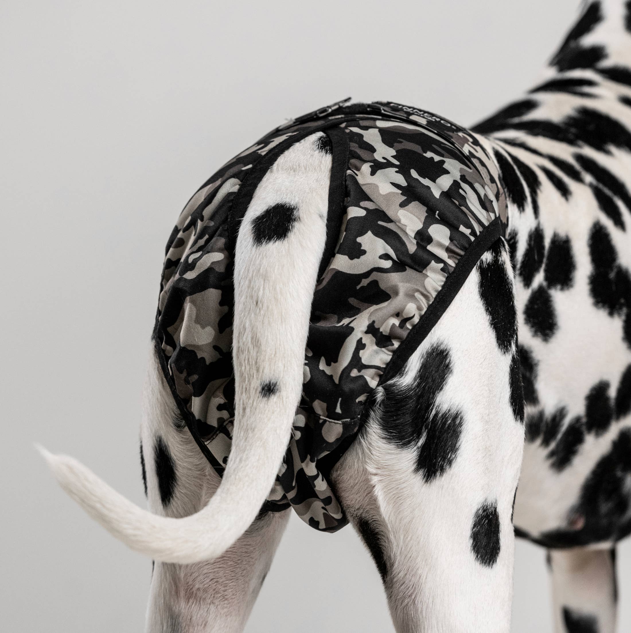 FINNERO - Wholesale Pet Diaper - Dog - FINNERO BRENDA Dog Hygiene pants, 3 colors, Washable Diaper9