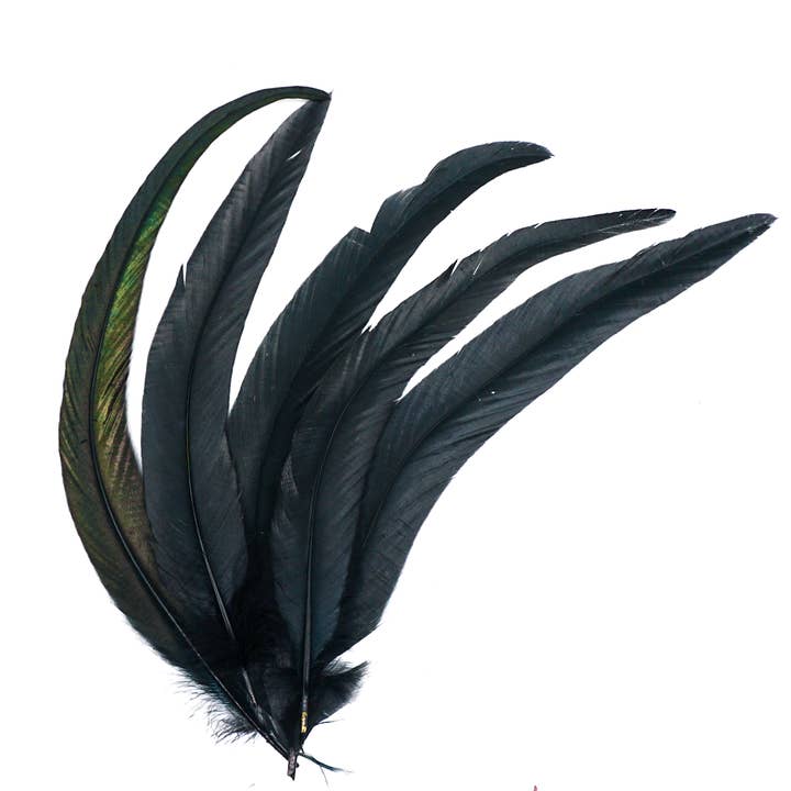 Black Feathers for Smudging for wholesale by Faiza Naturals