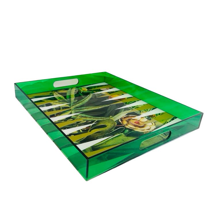 Game - Backgammon Tray - Tropical Green for wholesale by Maven Home