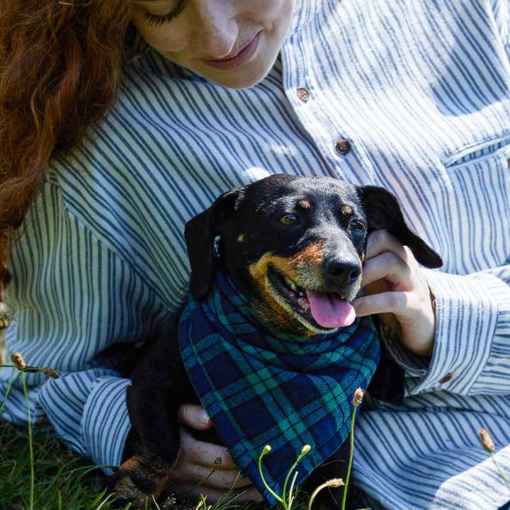 Lee Valley Ireland – wholesale Pet bandana – Dog – Lee Valley Flannel Dog Bandana