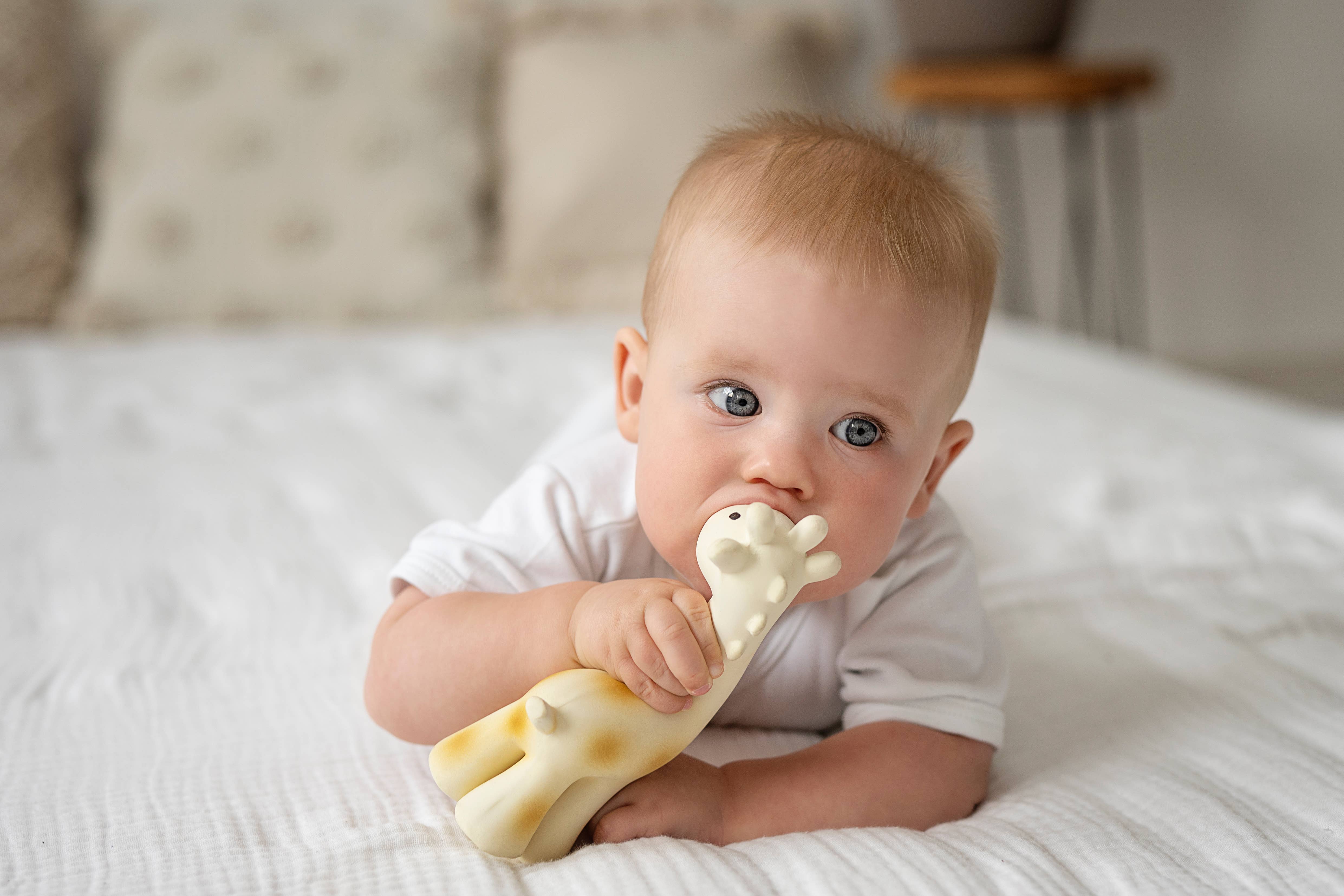 Tikiri Toys LLC - Wholesale Bath Toy - Baby - Giraffe Natural Organic Rubber Teether, Rattle & Bath Toy10