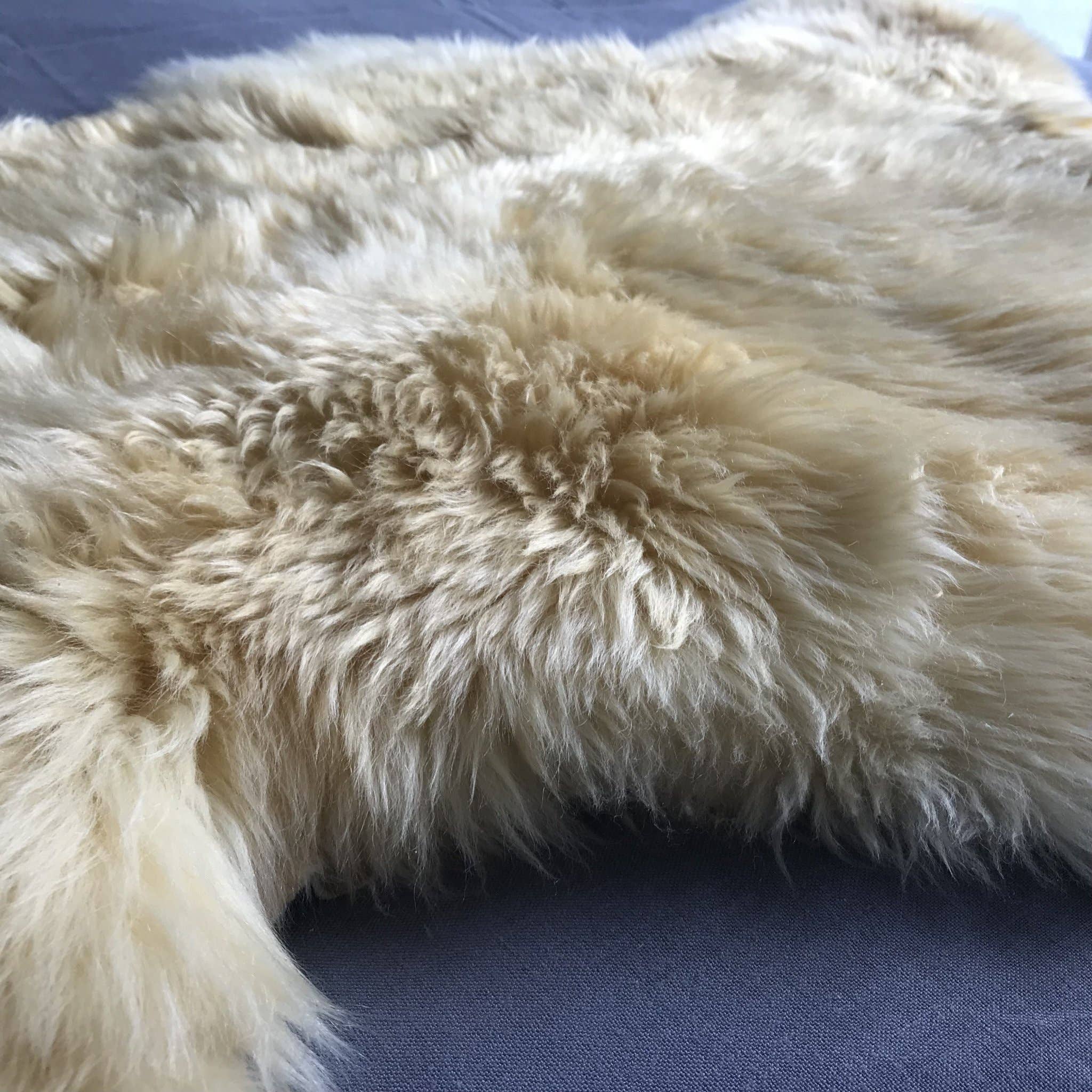 Wildash London - Wholesale Area Rug - Medical Grade Sheepskin  Hypoallergenic Relugan8