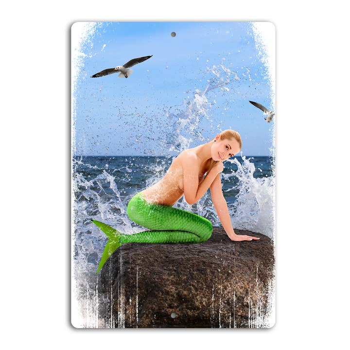 TS44 - Metallschild für den Großhandel von Black Wand Supply