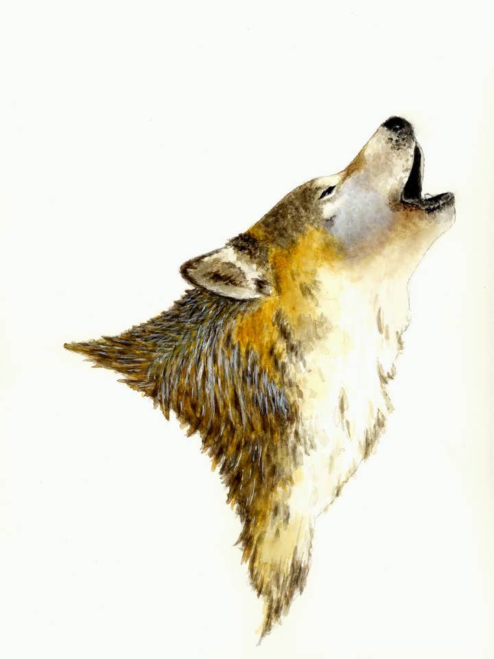 Lobo aullador para venta al por mayor de Michael Vigliotti