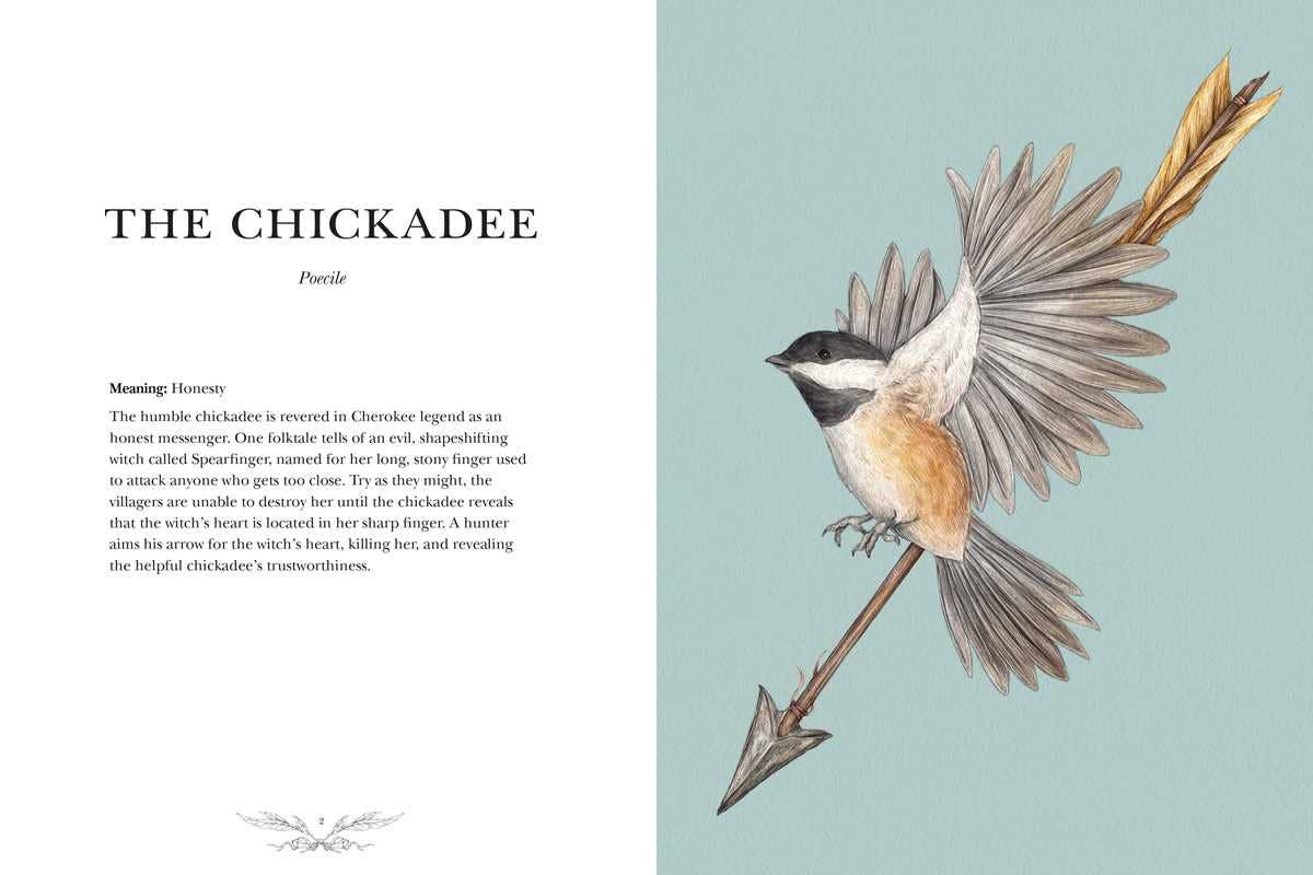 Simon & Schuster - Wholesale Nature & Outdoors - Ornithography by Jessica  Roux1