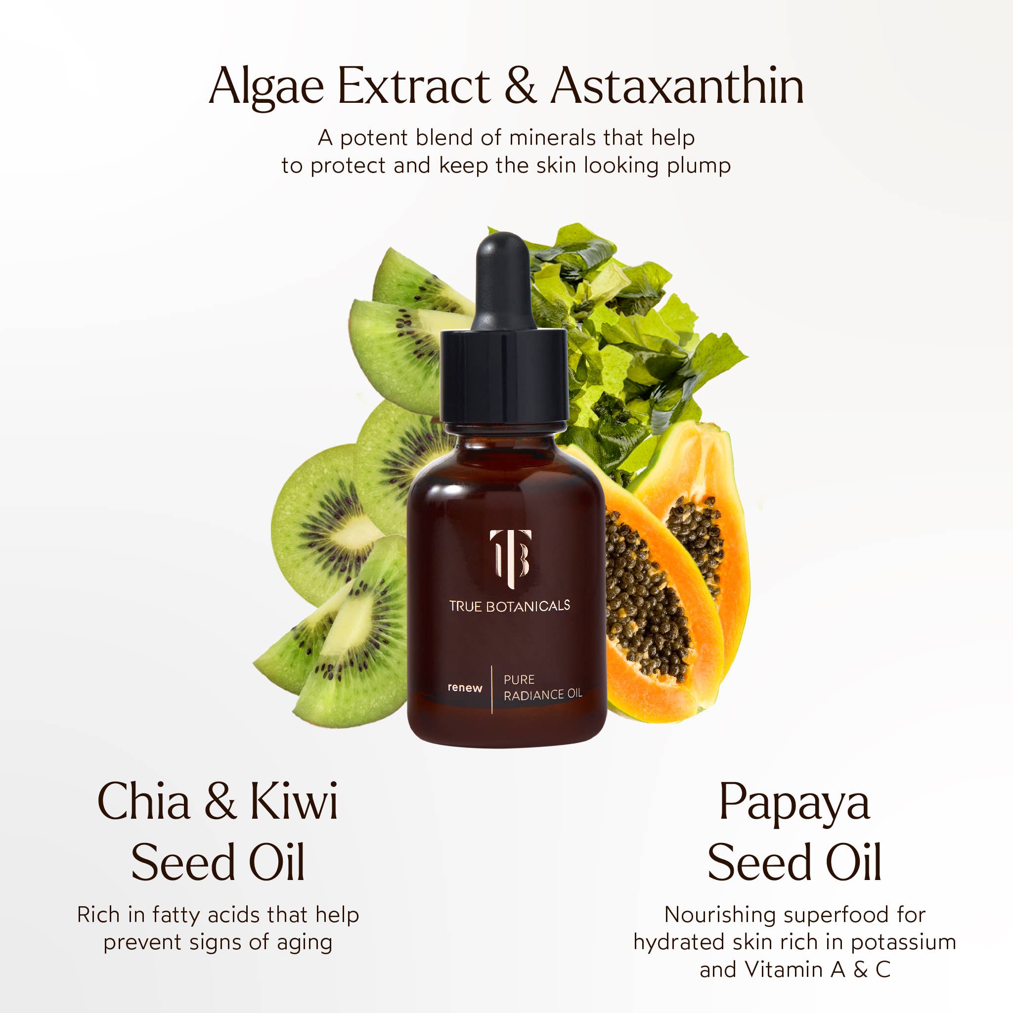 True Botanicals - Wholesale Facial Oil - Renew Pure Radiance Hydrating Facial Oil1