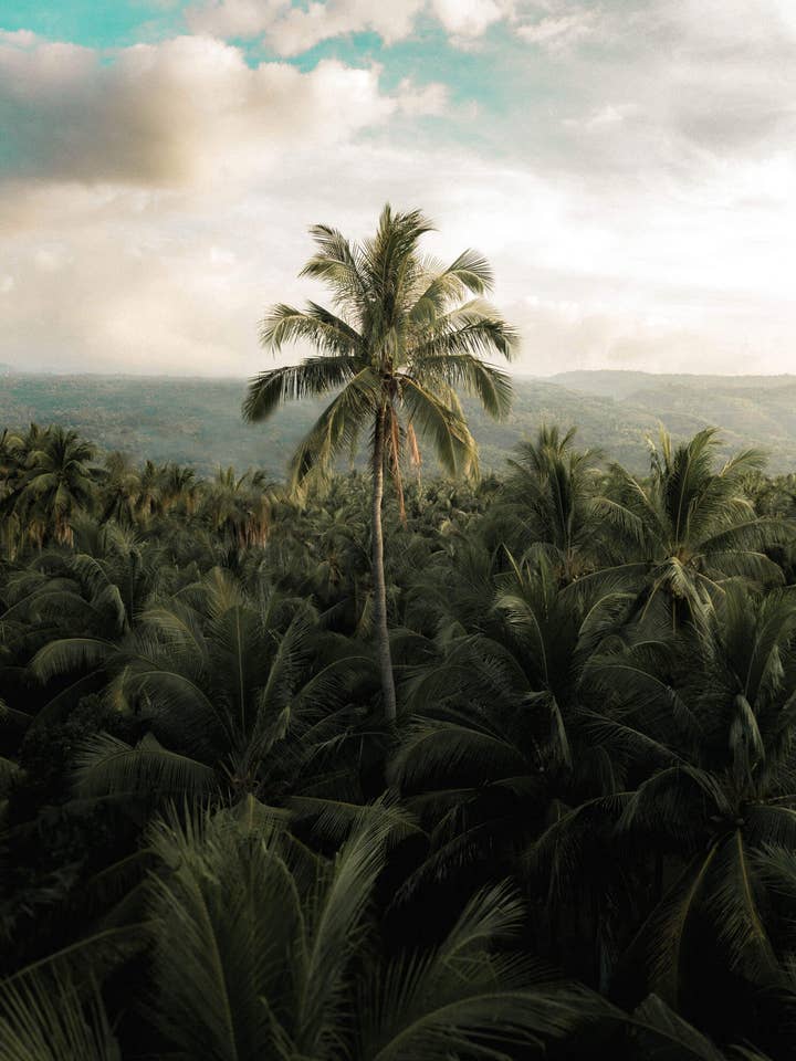 Stå ut för wholesale av Perspectives