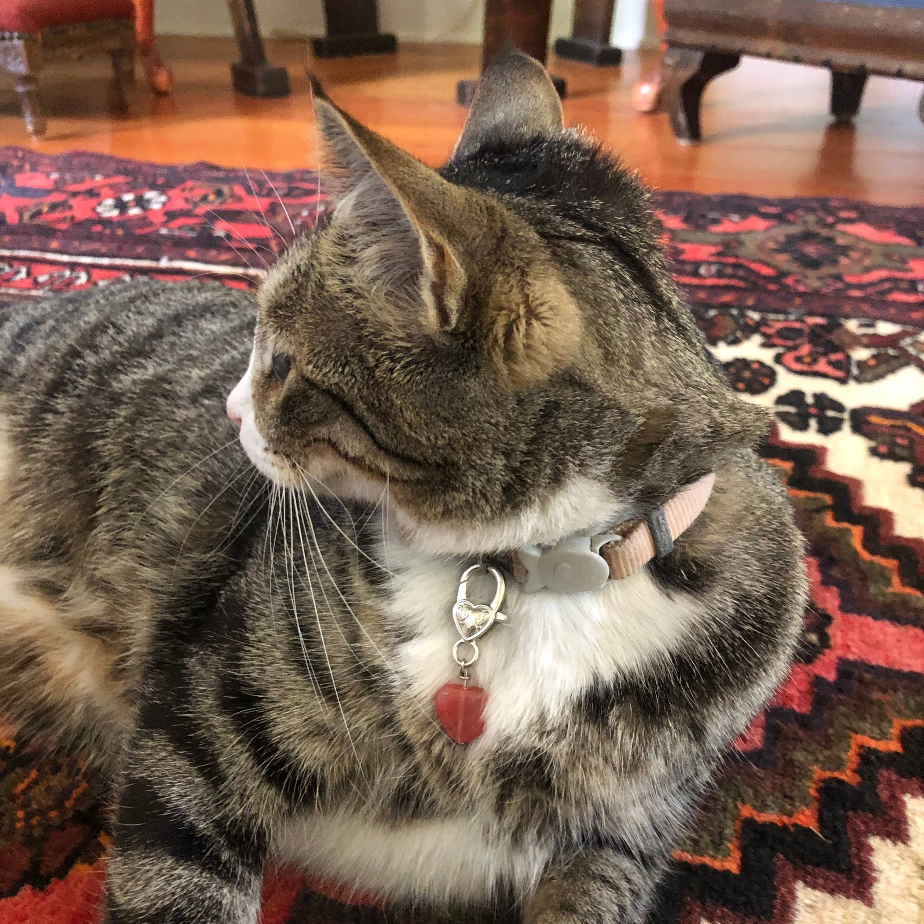 Crystal Pet Love – Engroshandel Vedhæng til halsbånd - Kat/hund – Kirsebærkvarts Kærligheds Kæledyr Vedhæng til Holistisk Krystalstøtte2