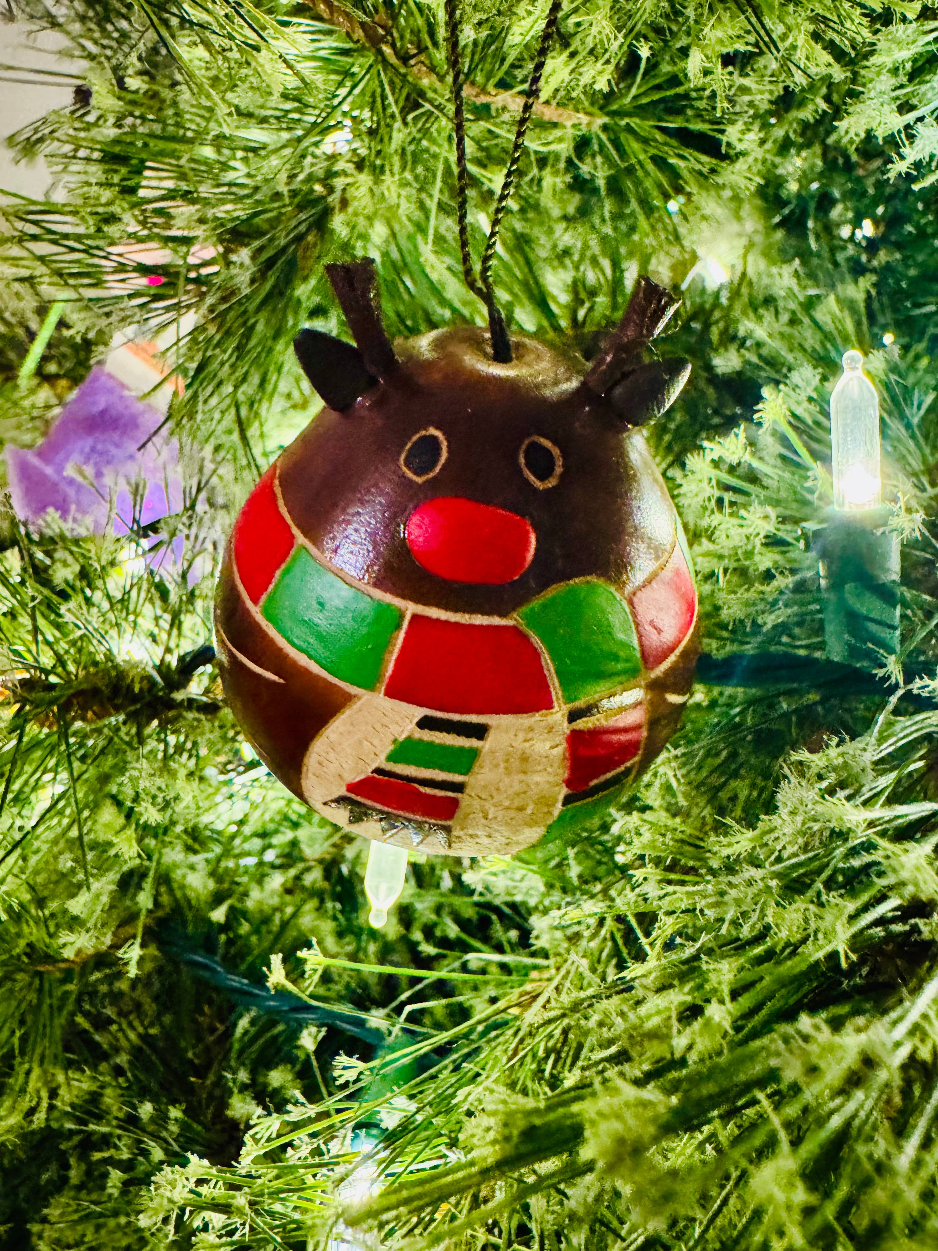 Blossom Inspirations - Wholesale Ornament - Rudolph the red nose reindeer gourd0