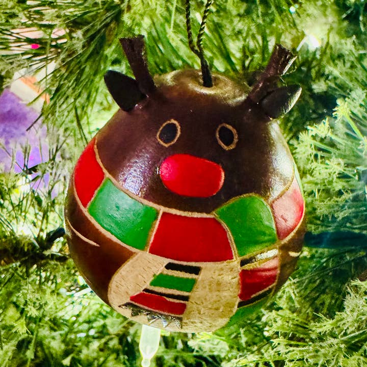 Blossom Inspirations - Wholesale Ornament - Rudolph the red nose reindeer gourd0