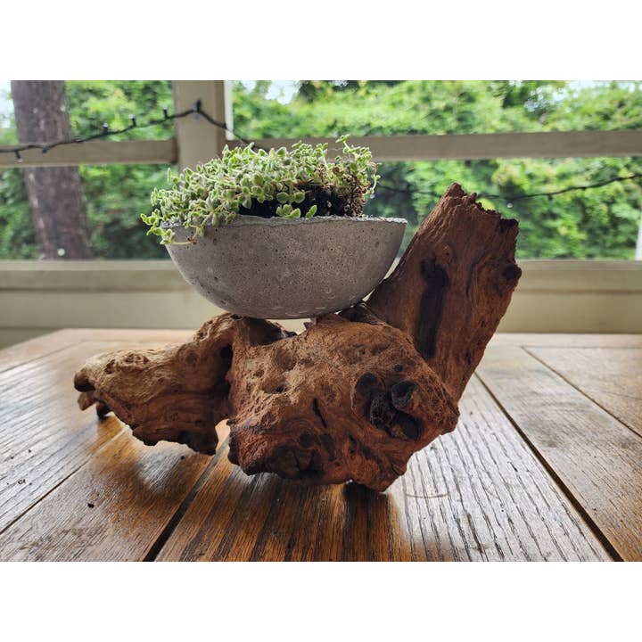 Halyn Line of Unique Planters for wholesale by Opulent Crafted Designs