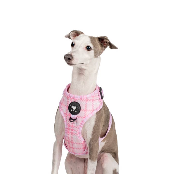 Pablo & Co. Boutique - Wholesale Pet Harness - Dog - Pink Houndstooth: ADJUSTABLE DOG HARNESS