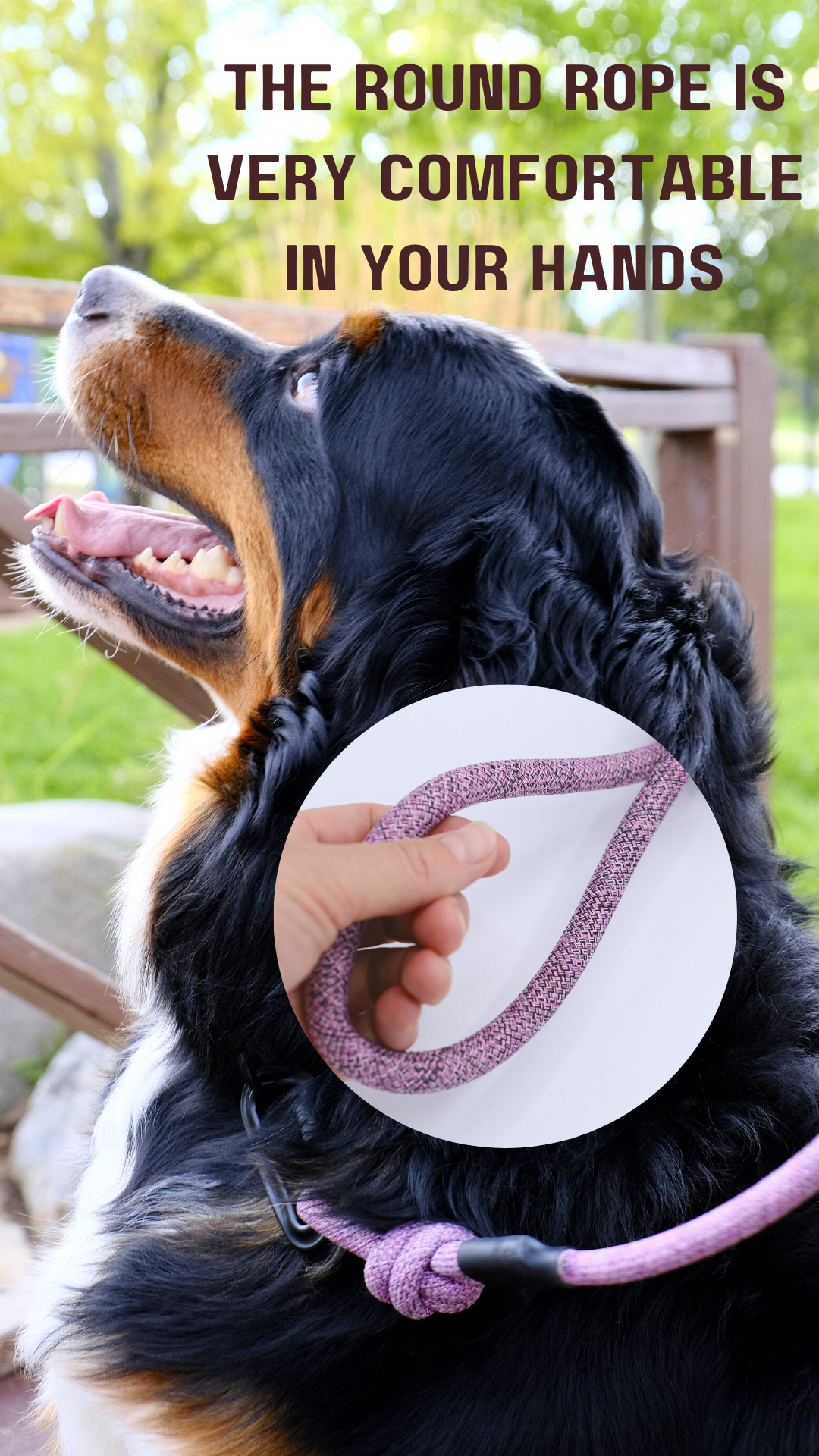 Mountain Blush Dog Leash Climbing Rope Adventure Style for wholesale on Faire3