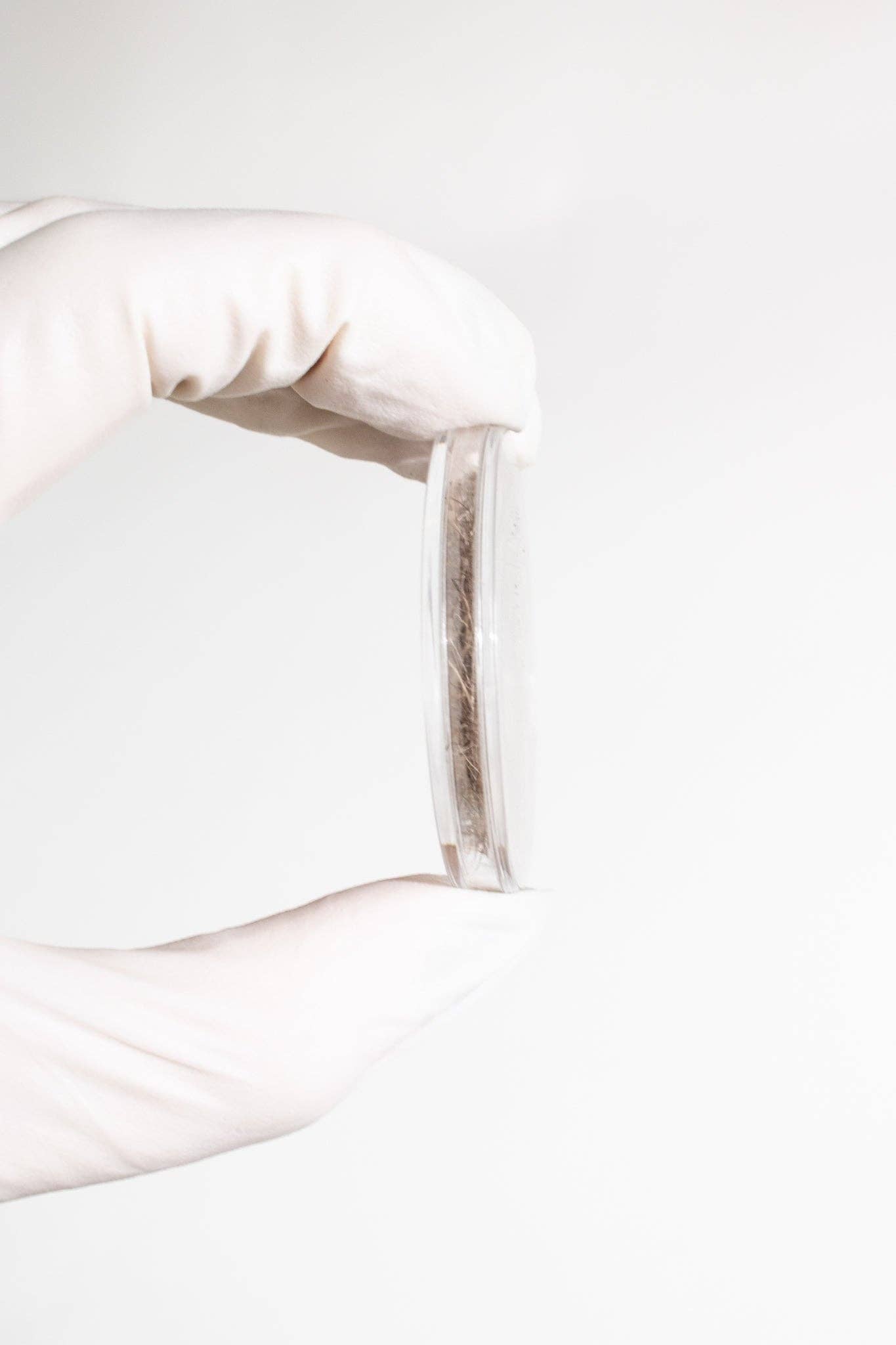 Stemcell Science Shop - Vente Pince à cheveux – femme - Fossile de poil de mammouth laineux1