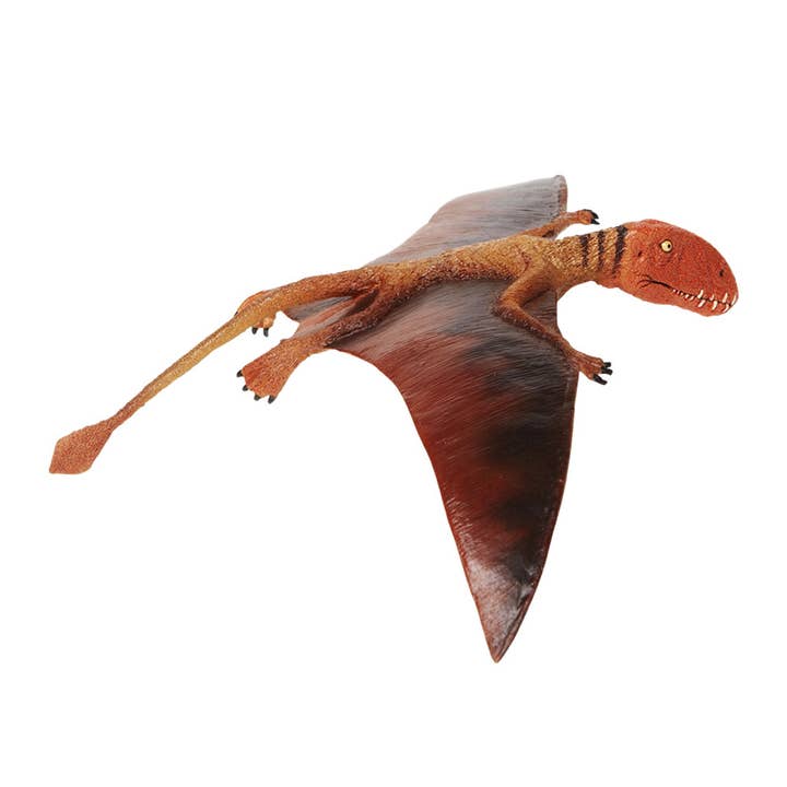 Safari Ltd. - Wholesale Figurine Toy - Kids - Dimorphodon - 304729