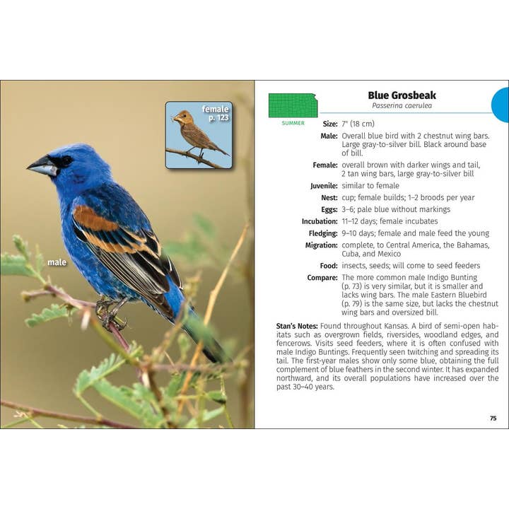 AdventureKEEN - Wholesale Book - Adult - Birds of Kansas Field Guide 2e