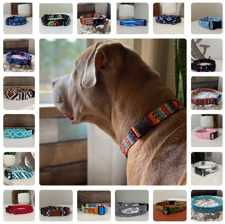 Dixie Lane Collars - Wholesale Pet Collar - Dog - The Ranchero • Serape Style Dog Collar • Multicolored Print6