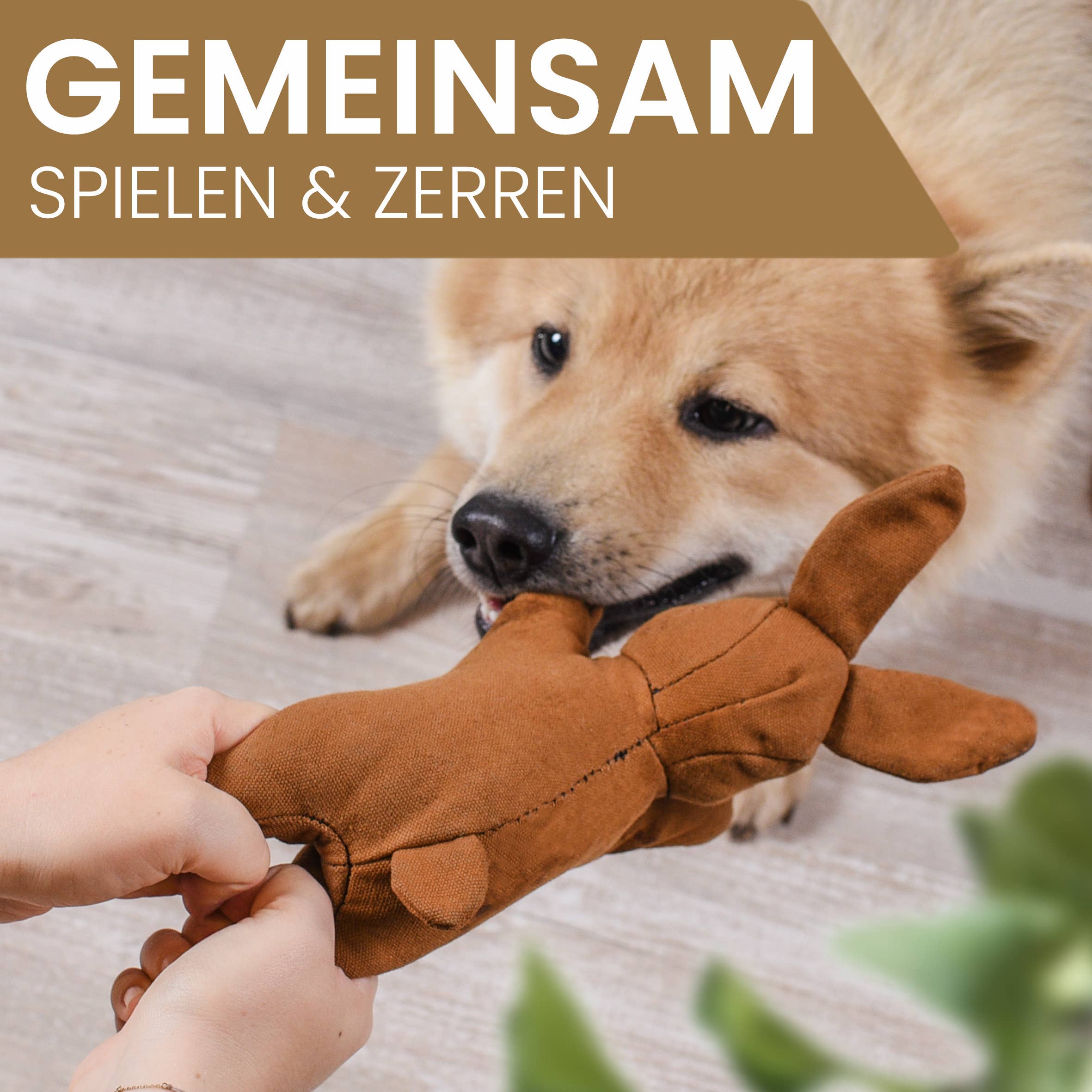 ne&no - Wholesale Pet Plush Toy - Dog - ne&no® Durable Dog Toy with Squeaker - Bunny Haru3