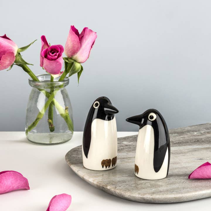 Hannah Turner Ltd - Vendita all'ingrosso Set sale e pepe - Set di saliere e pepiere a pinguino in ceramica fatta a mano4