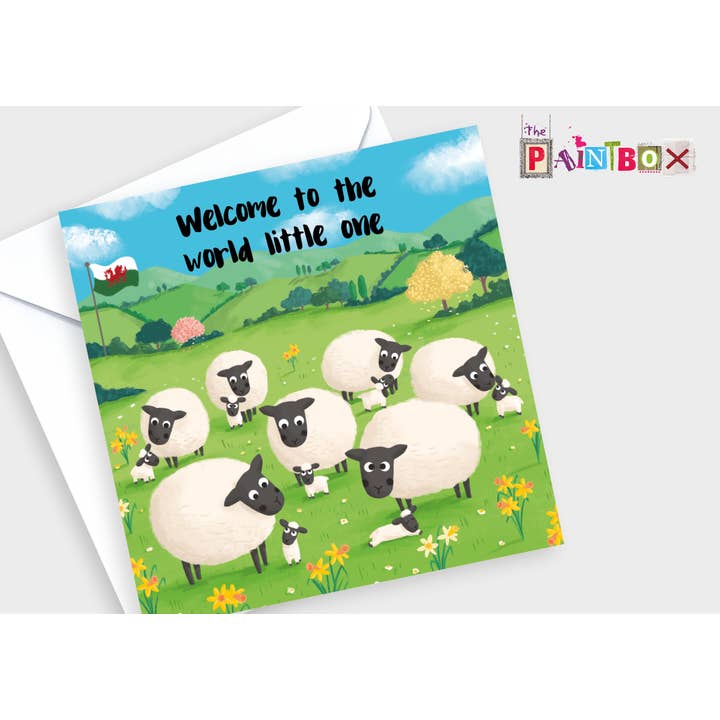 Bem-vindo ao mundo, pequenino Cordeiros Welsh Woolies x6 cartões por atacado de The Paintbox